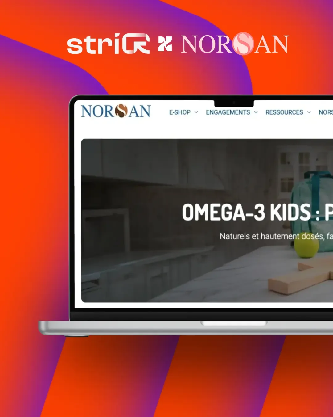Norsan