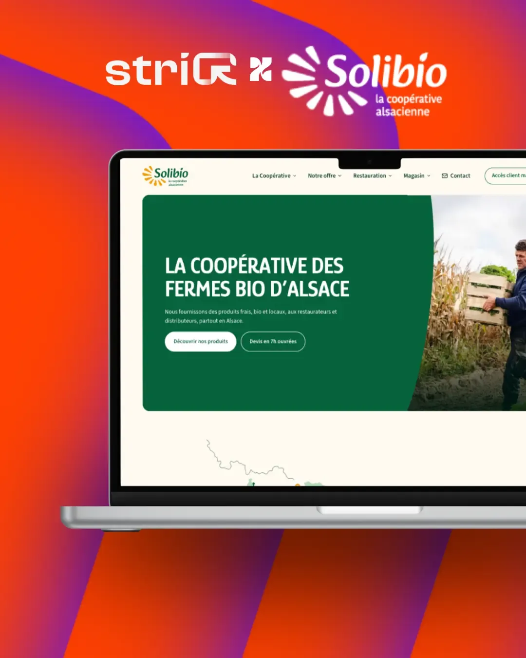 Solibio