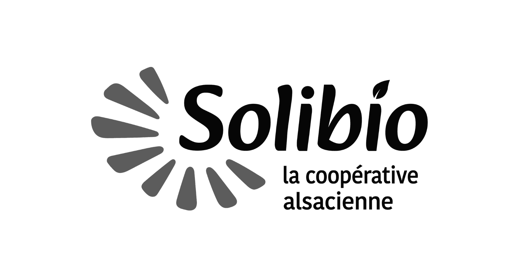 Solibio